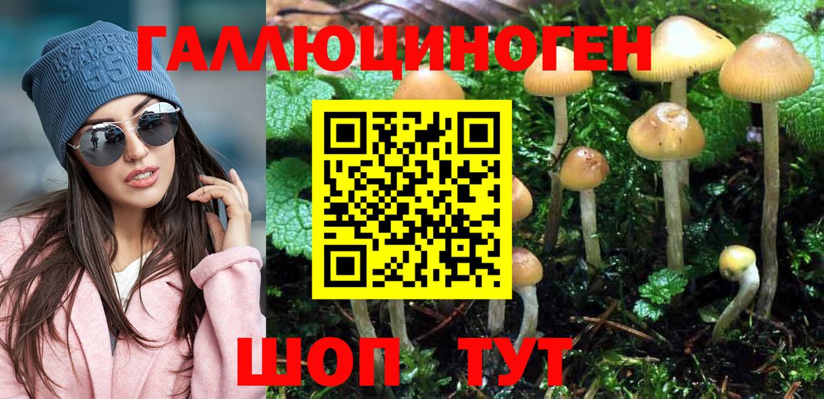 продажа наркотиков  Галлюциногенные грибы Cubensis  Вход с VPN  Карачаевск 