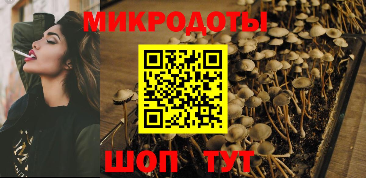 Псилоцибиновые грибы прущие грибы Карачаевск